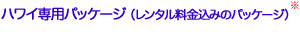�����^���������݂̊i���n���C��p�p�b�P�[�W
